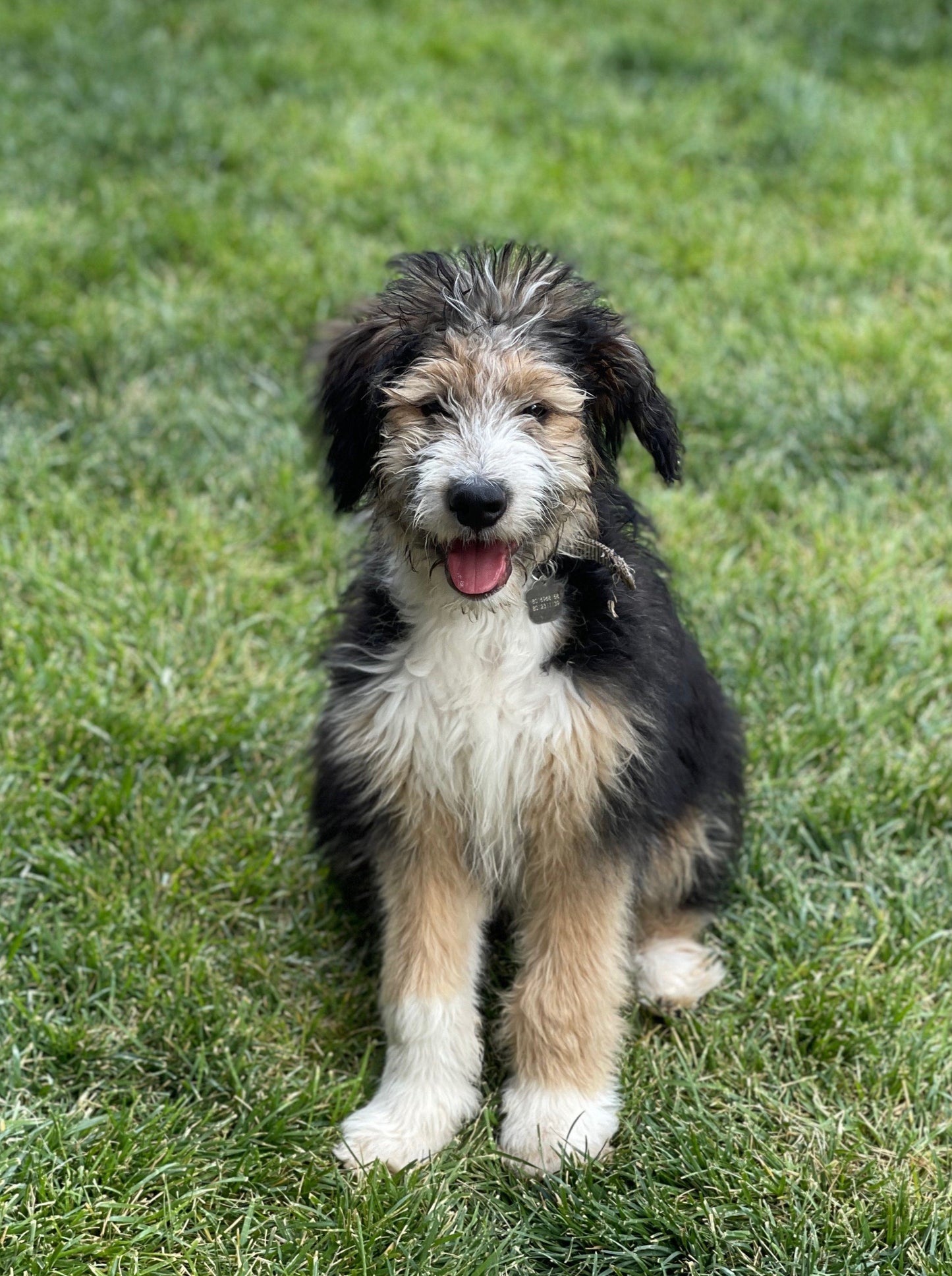 Crewneck Sweater Full Patch